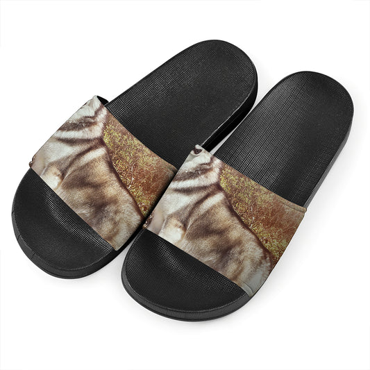 Vintage Alaskan Malamute Print Black Slide Sandals