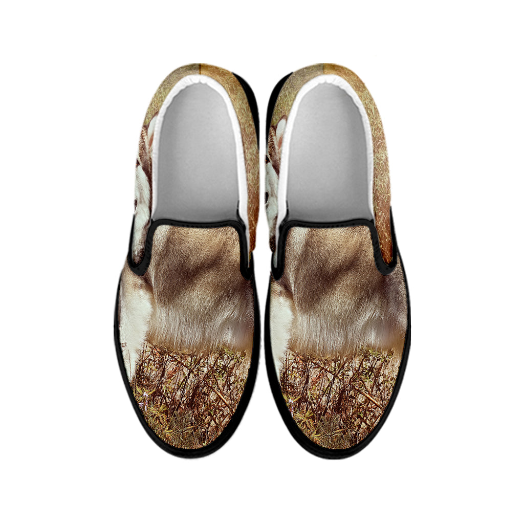 Vintage Alaskan Malamute Print Black Slip On Shoes