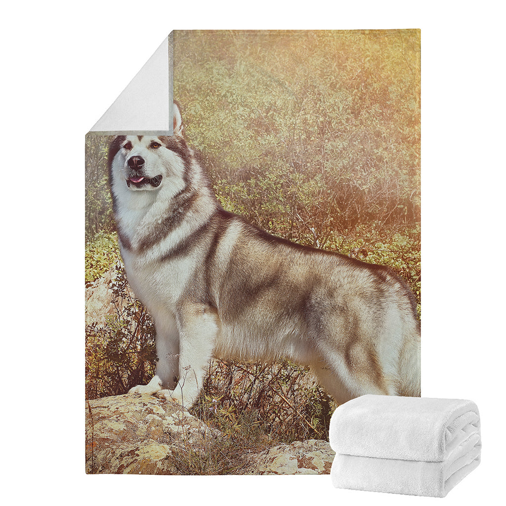 Vintage Alaskan Malamute Print Blanket