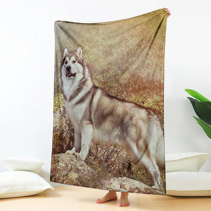Vintage Alaskan Malamute Print Blanket