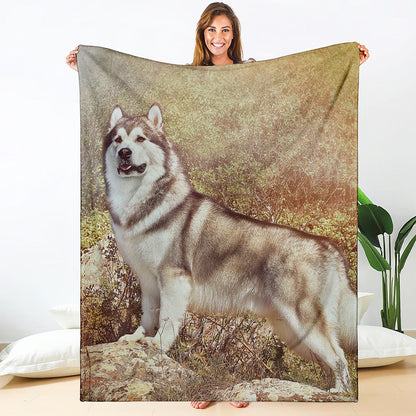 Vintage Alaskan Malamute Print Blanket