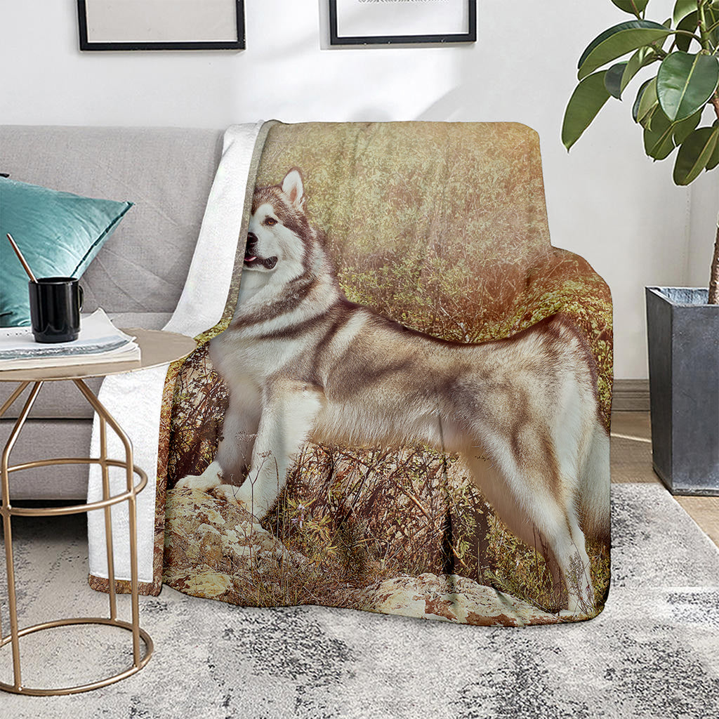 Vintage Alaskan Malamute Print Blanket