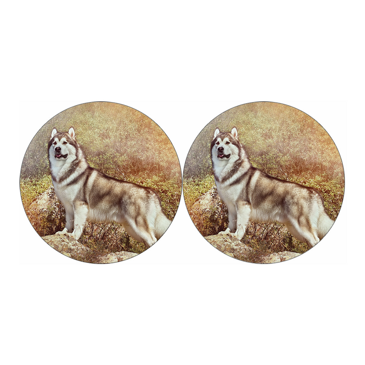 Vintage Alaskan Malamute Print Car Coasters