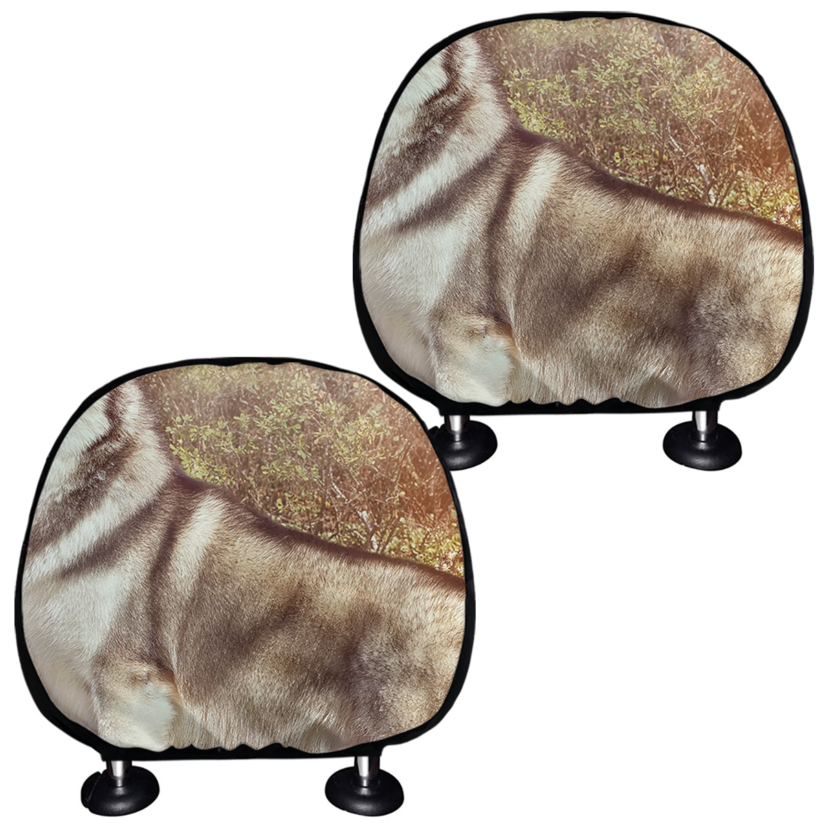 Vintage Alaskan Malamute Print Car Headrest Covers
