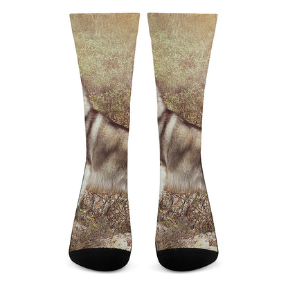 Vintage Alaskan Malamute Print Crew Socks