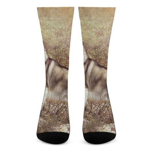 Vintage Alaskan Malamute Print Crew Socks