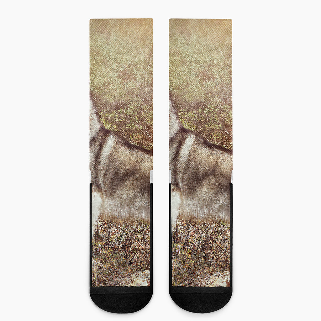 Vintage Alaskan Malamute Print Crew Socks
