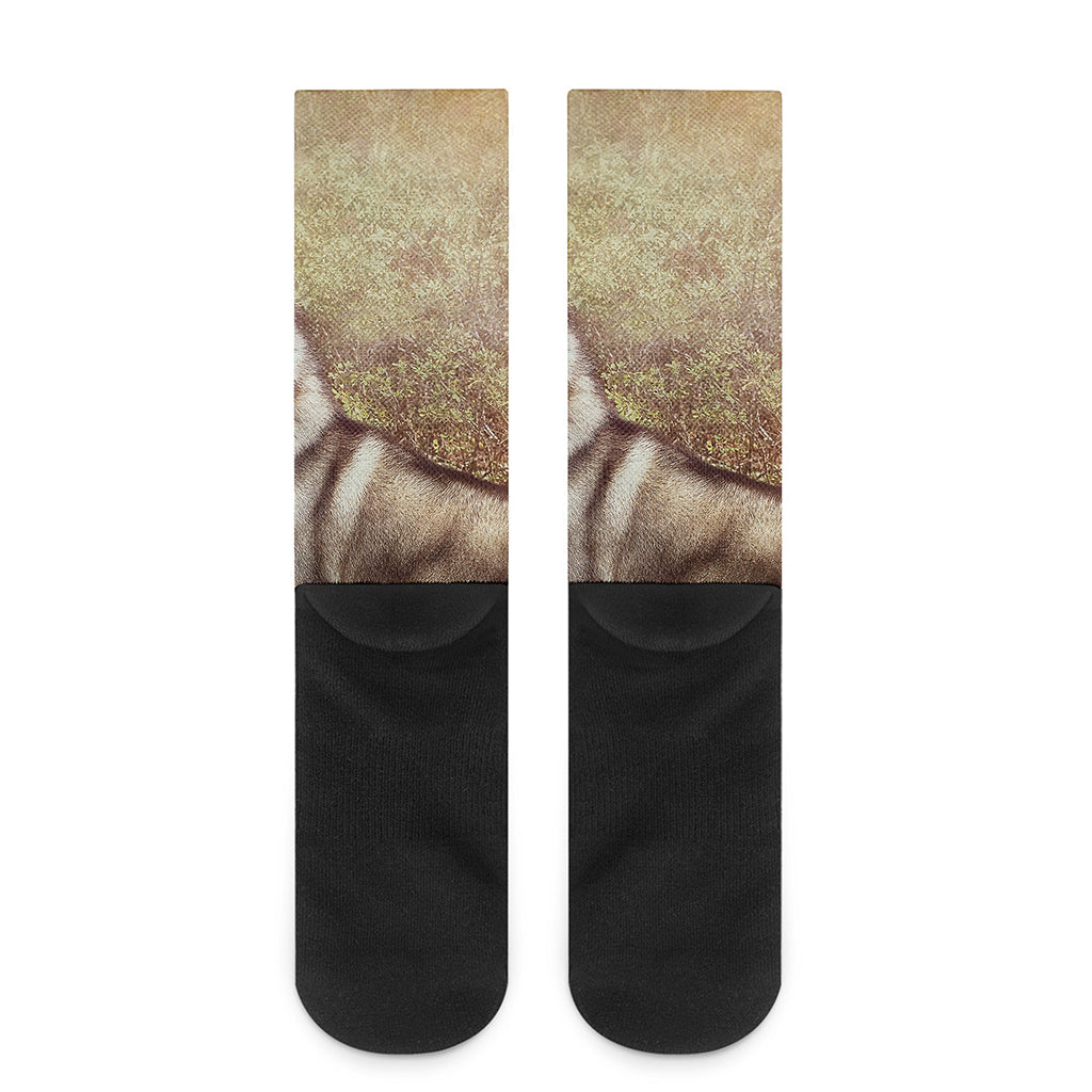 Vintage Alaskan Malamute Print Crew Socks