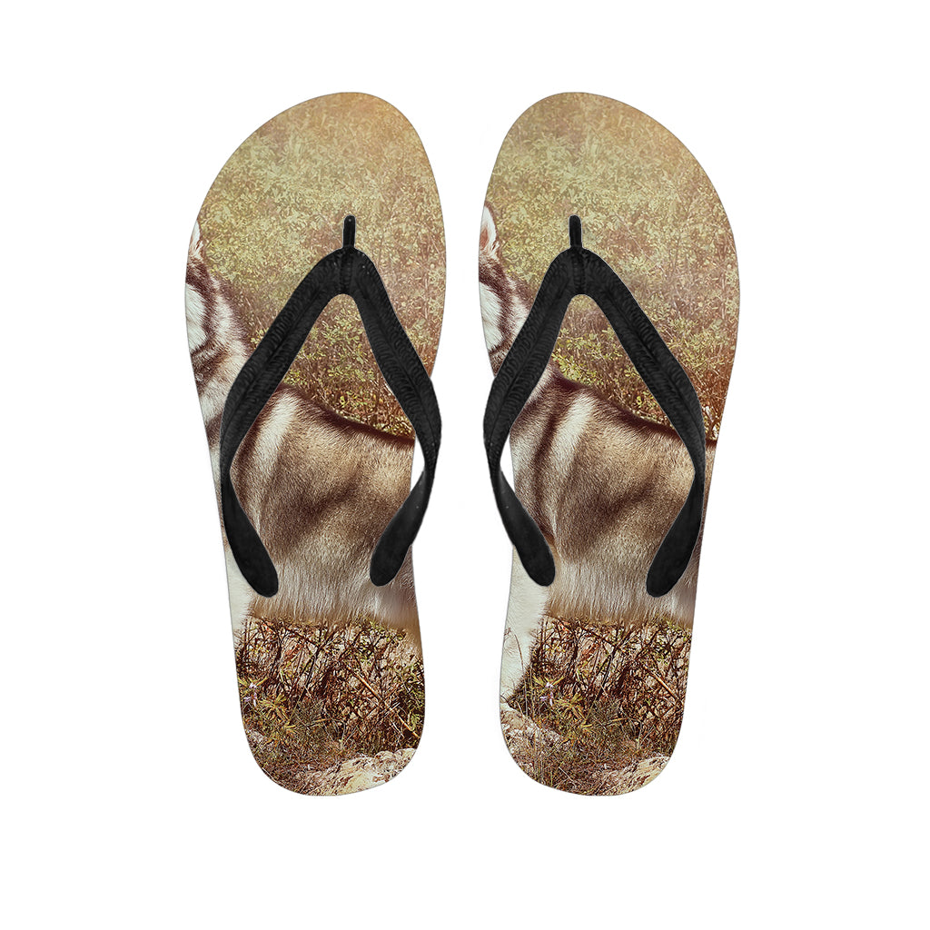 Vintage Alaskan Malamute Print Flip Flops