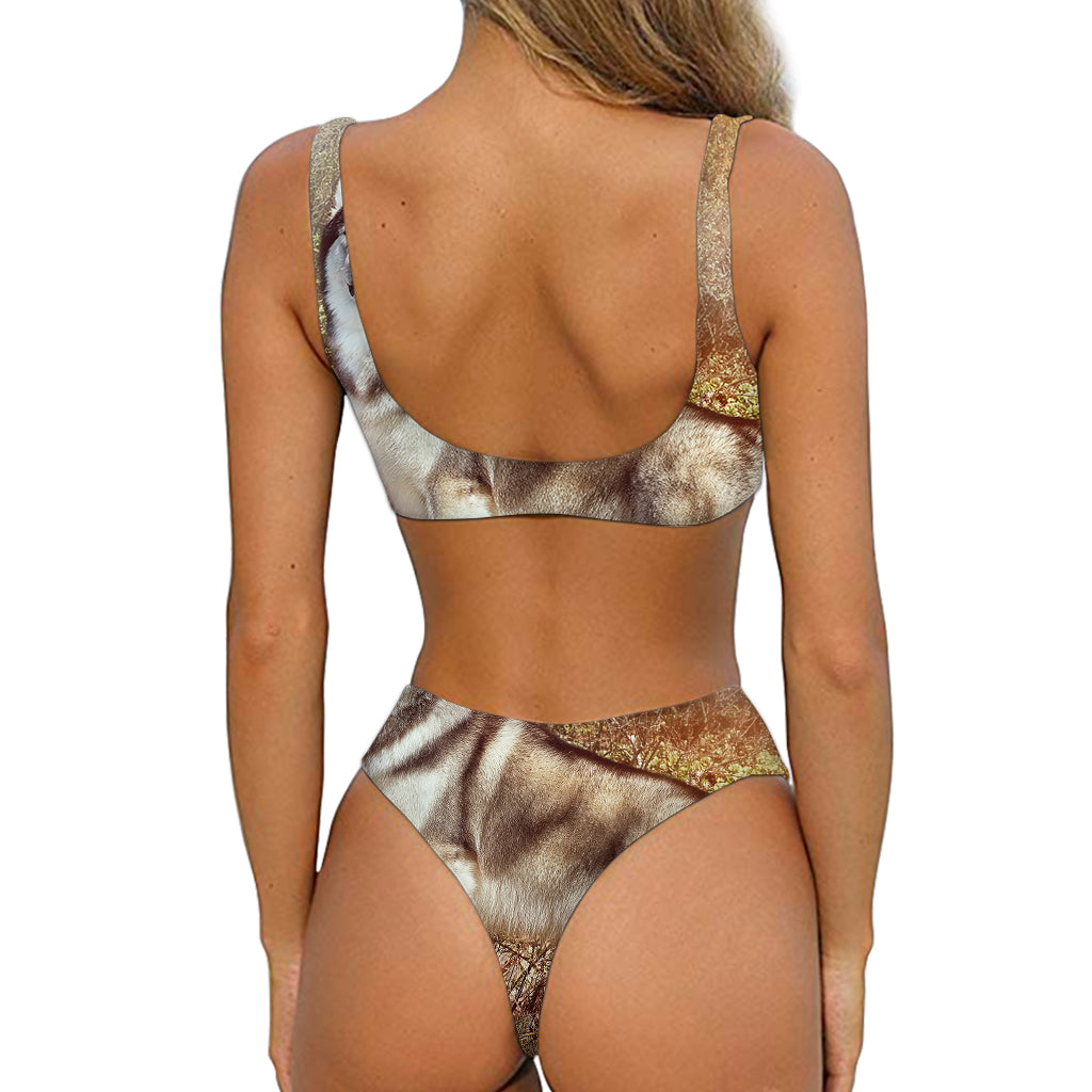 Vintage Alaskan Malamute Print Front Bow Tie Bikini