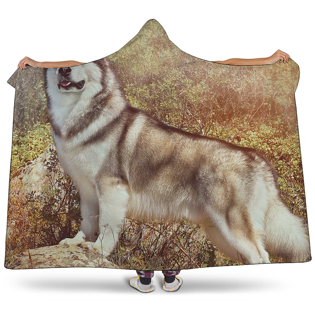 Vintage Alaskan Malamute Print Hooded Blanket
