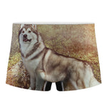 Vintage Alaskan Malamute Print Men's Boxer Briefs