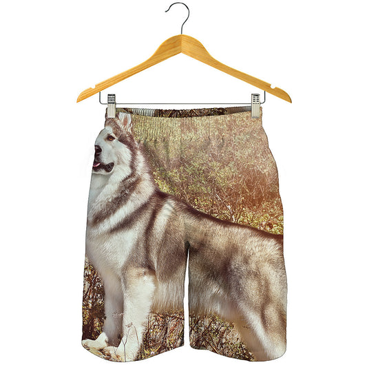 Vintage Alaskan Malamute Print Men's Shorts