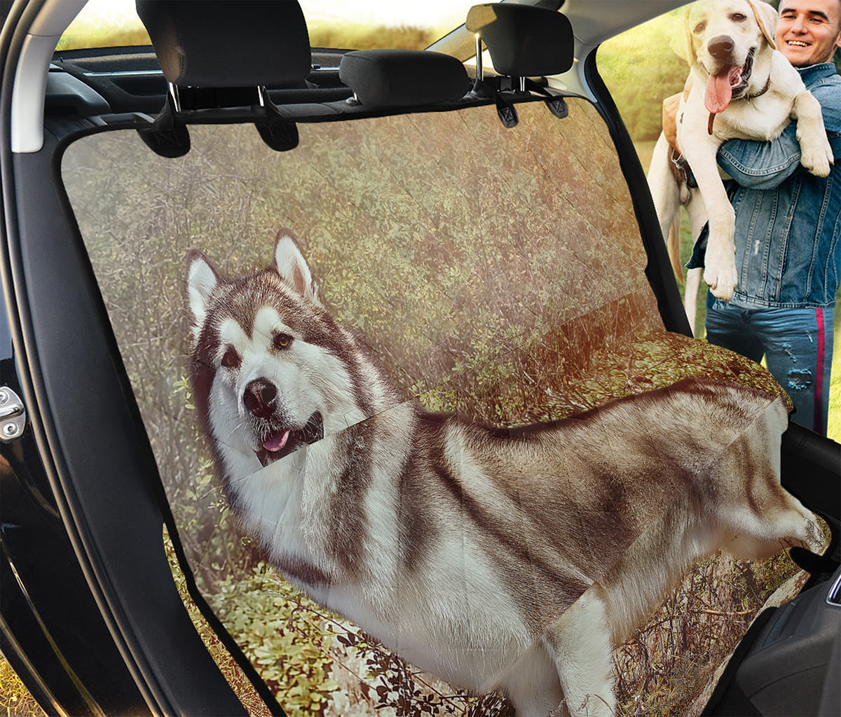 Vintage Alaskan Malamute Print Pet Car Back Seat Cover