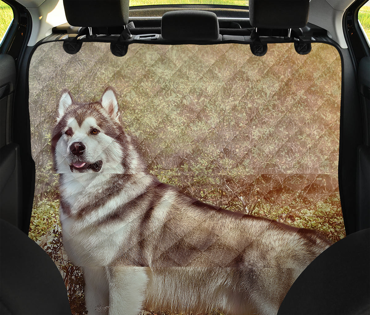 Vintage Alaskan Malamute Print Pet Car Back Seat Cover