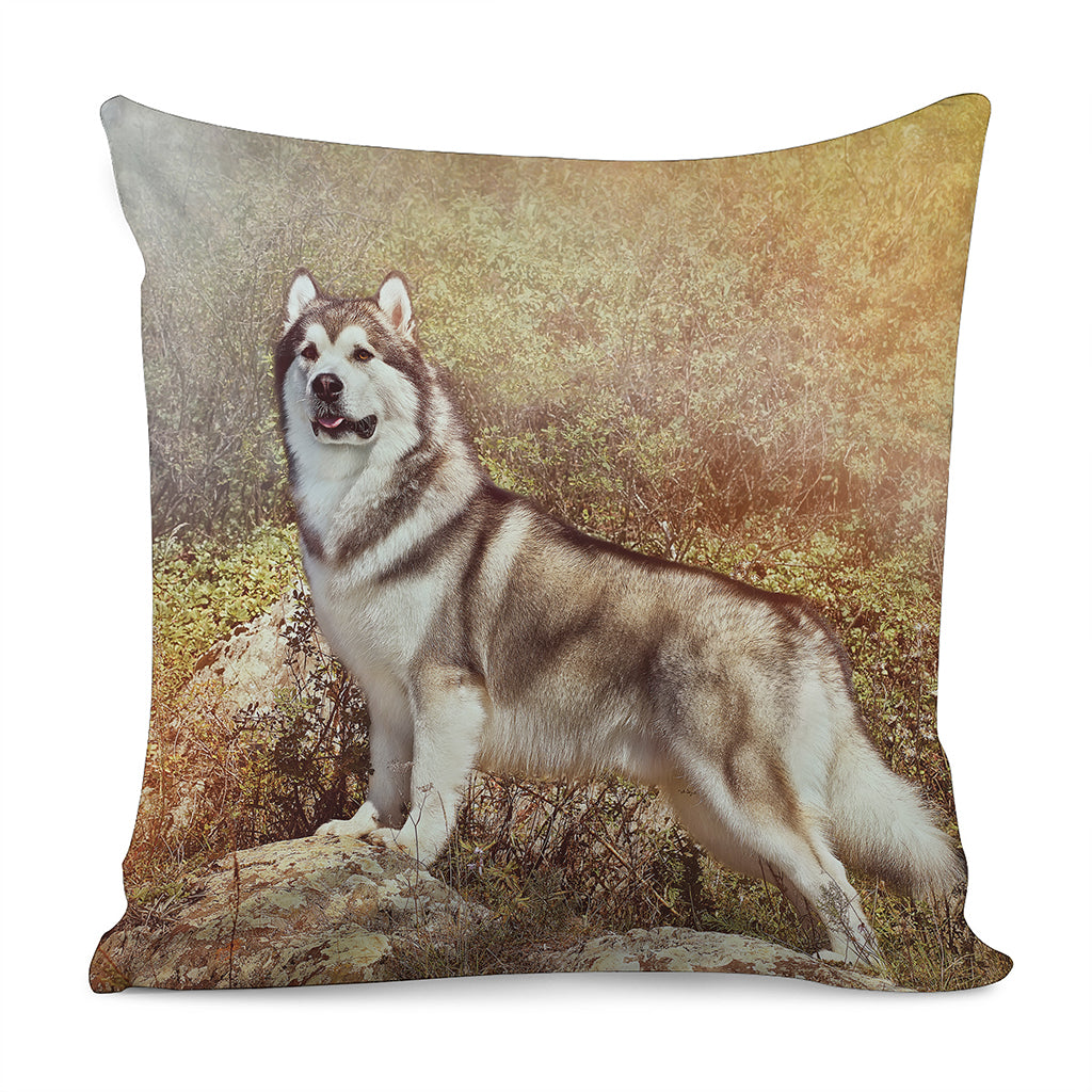 Vintage Alaskan Malamute Print Pillow Cover