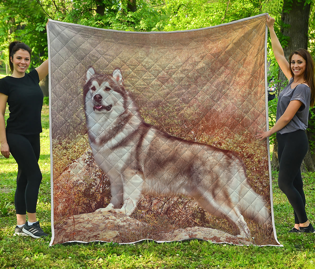 Vintage Alaskan Malamute Print Quilt