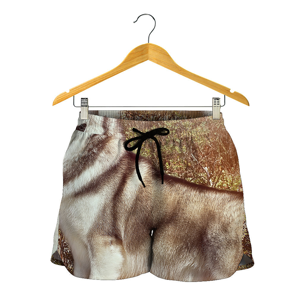 Vintage Alaskan Malamute Print Women's Shorts