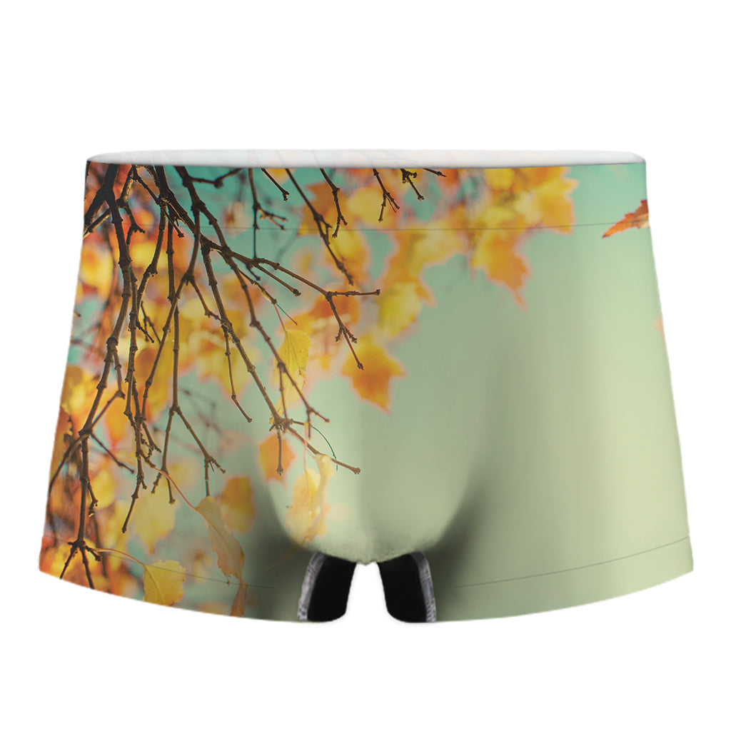Vintage Autumn Print Men's Boxer Briefs