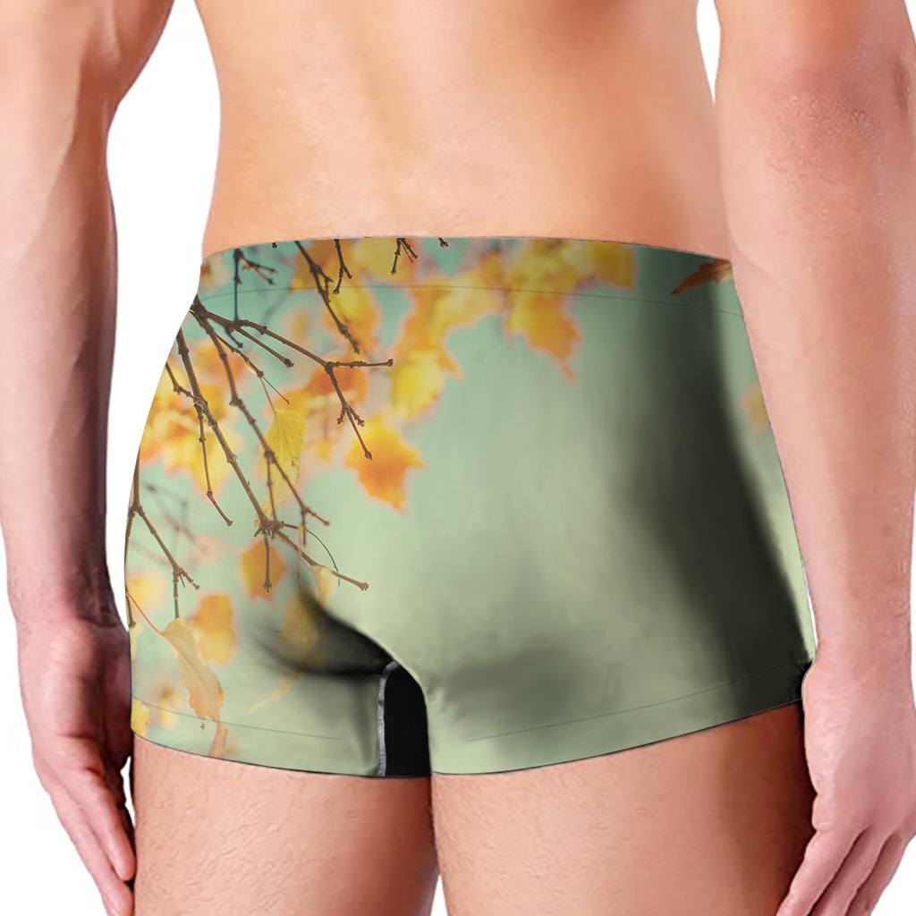 Vintage Autumn Print Men's Boxer Briefs