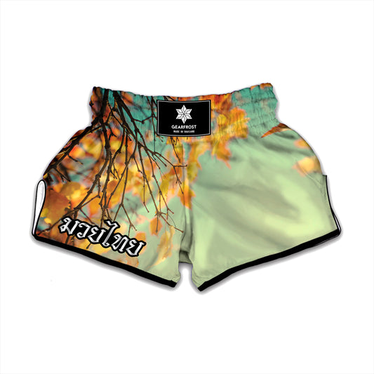 Vintage Autumn Print Muay Thai Boxing Shorts