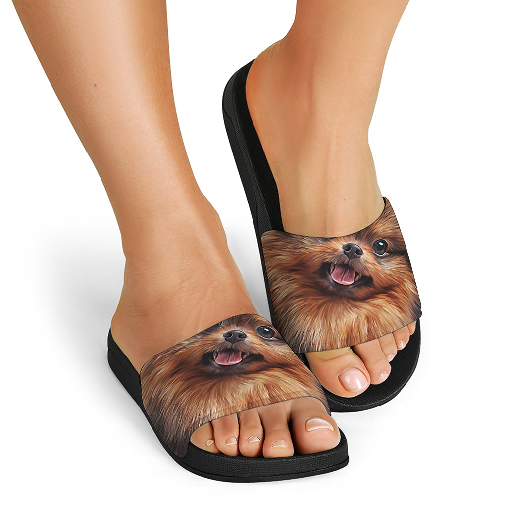 Vintage Pomeranian Portrait Black Slide Sandals