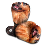 Vintage Pomeranian Portrait Boxing Gloves