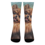 Vintage Pomeranian Portrait Crew Socks