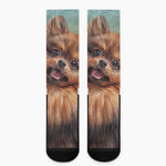 Vintage Pomeranian Portrait Crew Socks