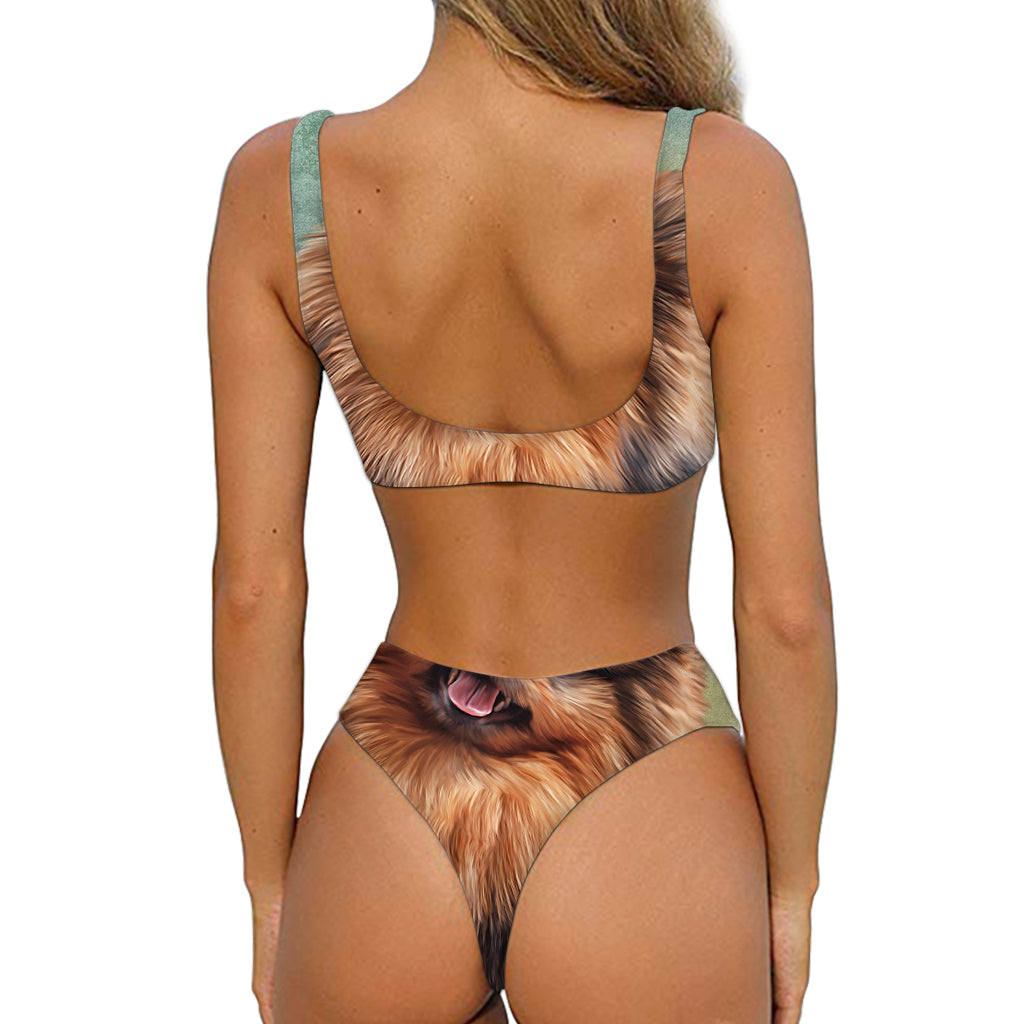 Vintage Pomeranian Portrait Front Bow Tie Bikini