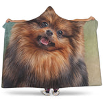 Vintage Pomeranian Portrait Hooded Blanket
