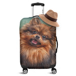 Vintage Pomeranian Portrait Luggage Cover