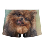 Vintage Pomeranian Portrait Men's Boxer Briefs