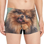 Vintage Pomeranian Portrait Men's Boxer Briefs