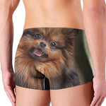 Vintage Pomeranian Portrait Men's Boxer Briefs