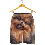 Vintage Pomeranian Portrait Men's Shorts