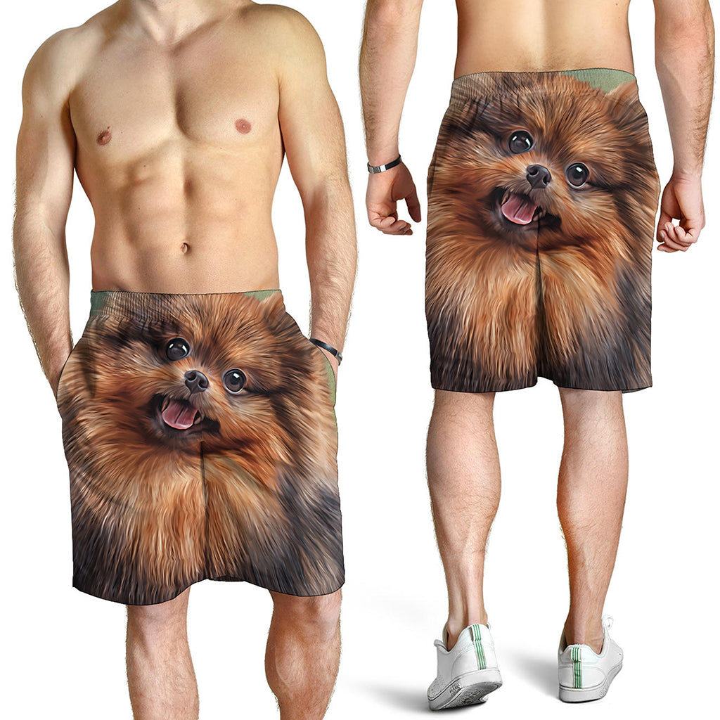 Vintage Pomeranian Portrait Men's Shorts