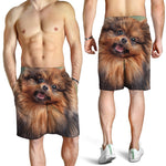 Vintage Pomeranian Portrait Men's Shorts