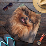 Vintage Pomeranian Portrait Men's Shorts
