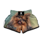 Vintage Pomeranian Portrait Muay Thai Boxing Shorts