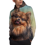 Vintage Pomeranian Portrait Pullover Hoodie