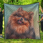 Vintage Pomeranian Portrait Quilt