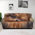 Vintage Pomeranian Portrait Sofa Cover