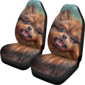 Vintage Pomeranian Portrait Universal Fit Car Seat Covers
