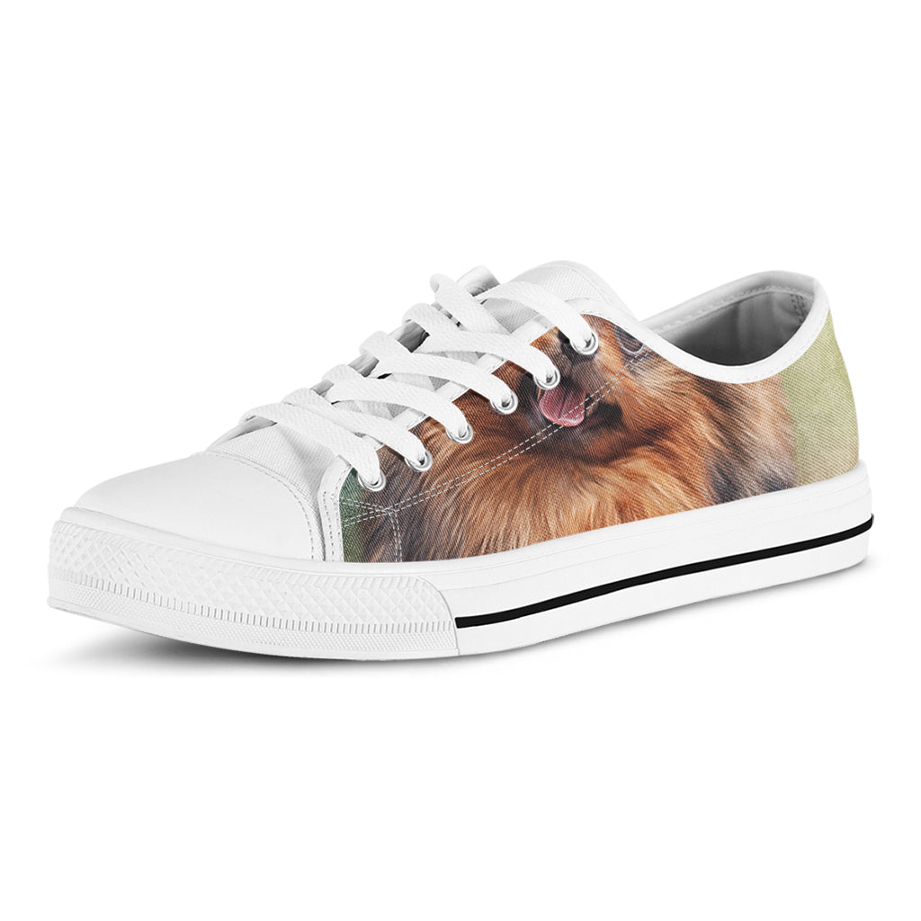 Vintage Pomeranian Portrait White Low Top Shoes