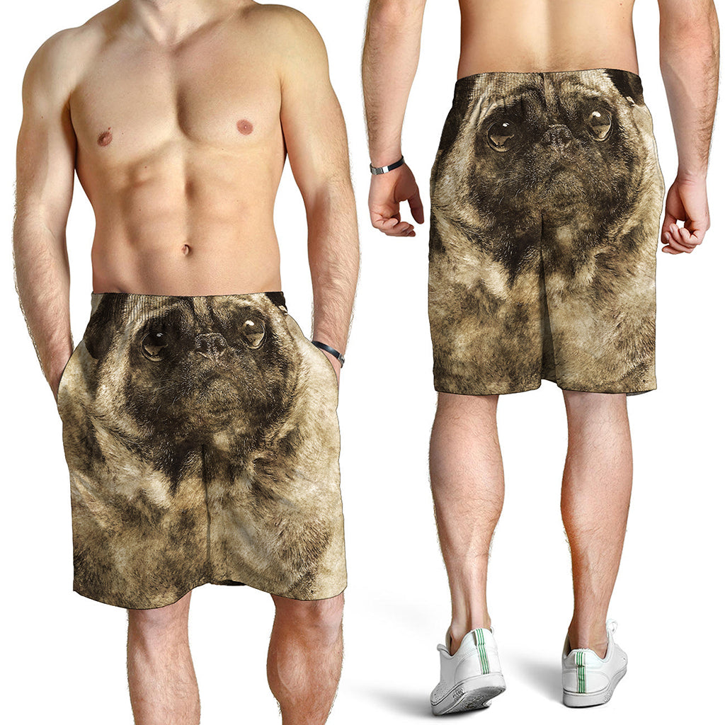 Vintage Pug Portrait Print Men's Shorts