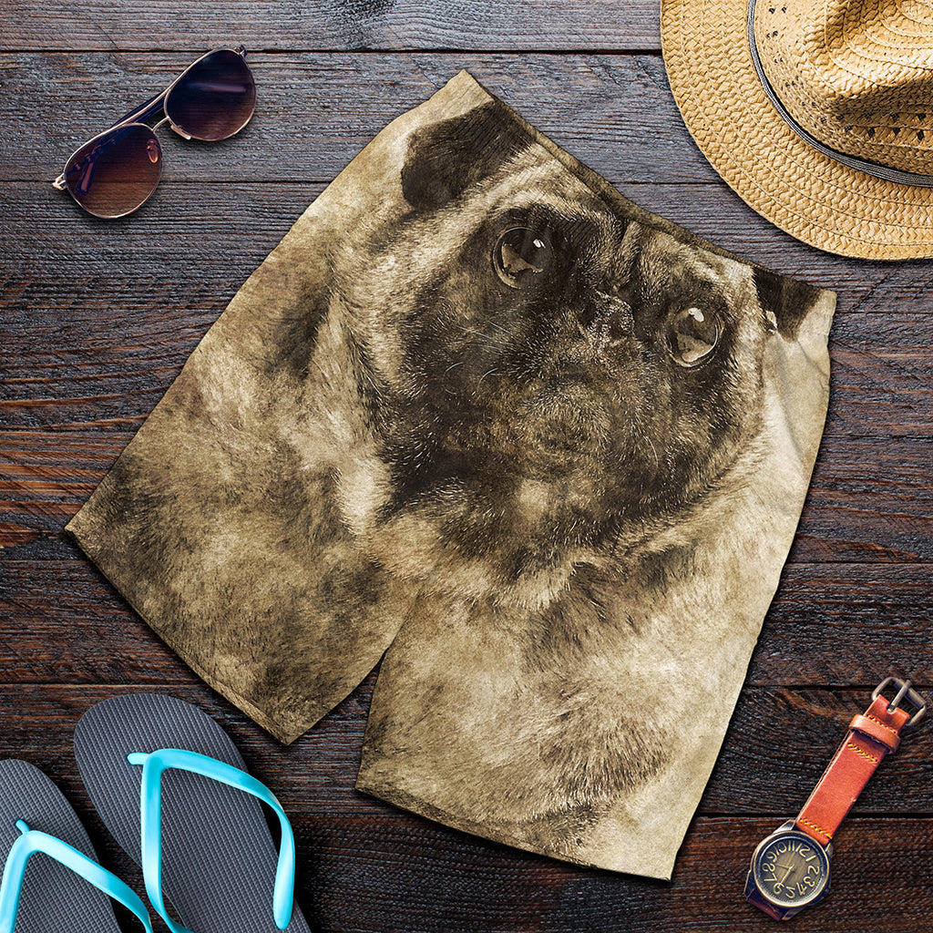 Vintage Pug Portrait Print Men's Shorts