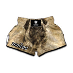 Vintage Pug Portrait Print Muay Thai Boxing Shorts