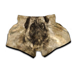 Vintage Pug Portrait Print Muay Thai Boxing Shorts