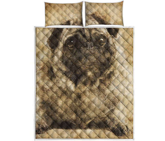 Vintage Pug Portrait Print Quilt Bed Set